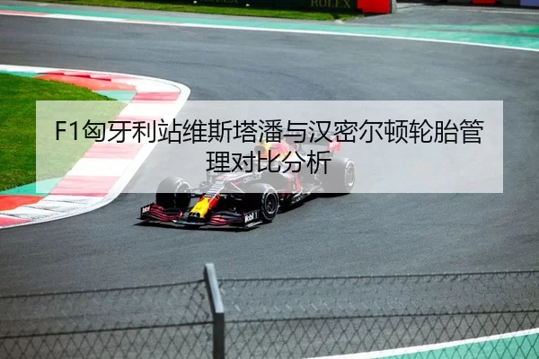F1匈牙利站维斯塔潘与汉密尔顿轮胎管理对比分析