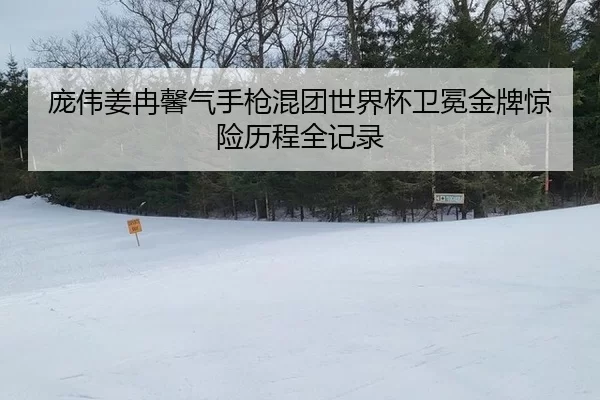 庞伟姜冉馨气手枪混团世界杯卫冕金牌惊险历程全记录
